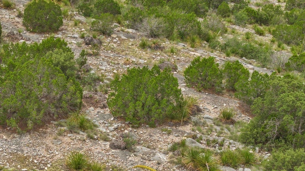 130.17 acres in Edwards County - photo 35