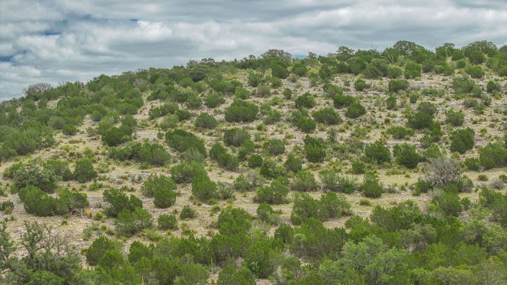 130.17 acres in Edwards County - photo 28