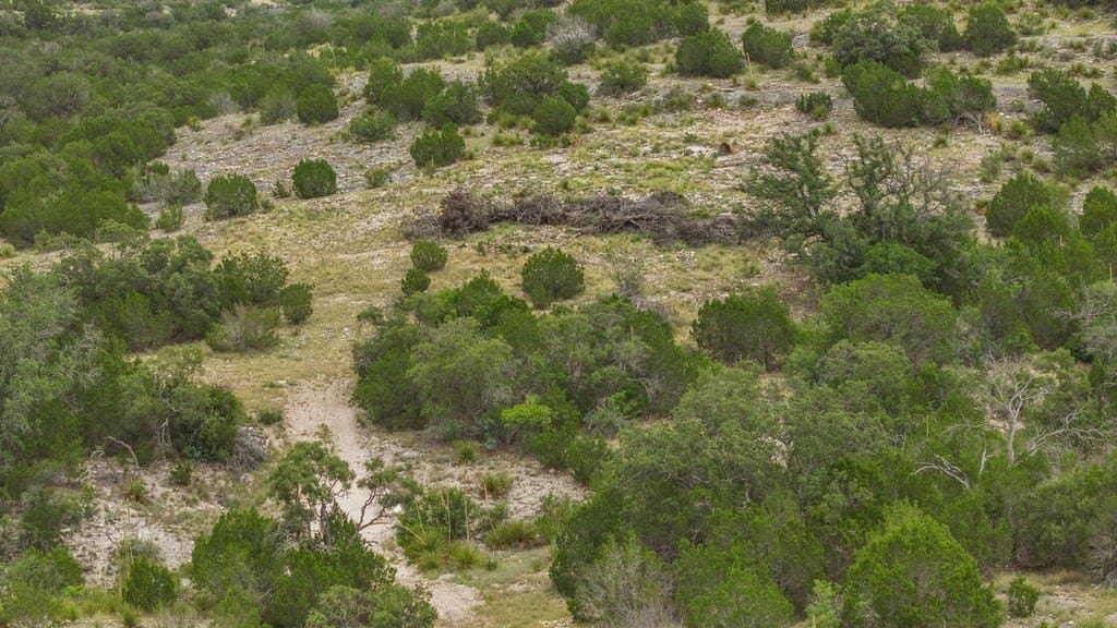 130.17 acres in Edwards County - photo 27