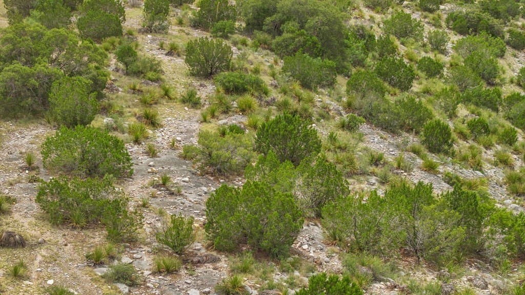 130.17 acres in Edwards County - photo 34