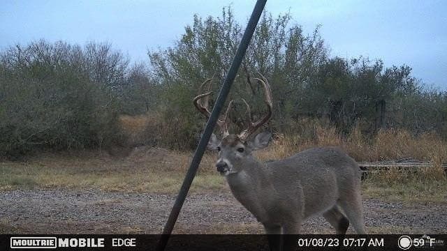 50 acres in Brooks County - photo 16