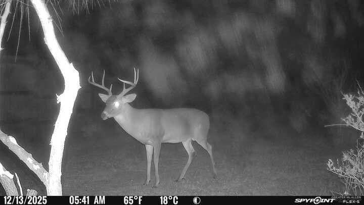 50 acres in Brooks County - photo 17