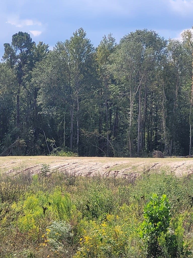9.58 acres in Texas County - photo 2
