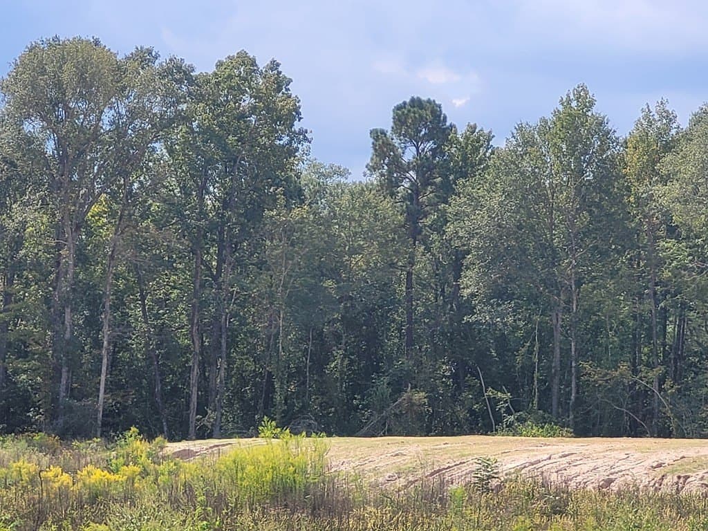 9.58 acres in Texas County - photo 3