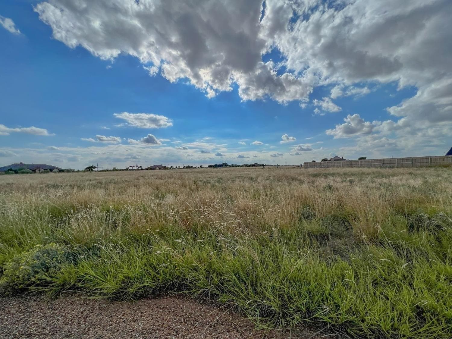1.25 acres in Hockley County - photo 7
