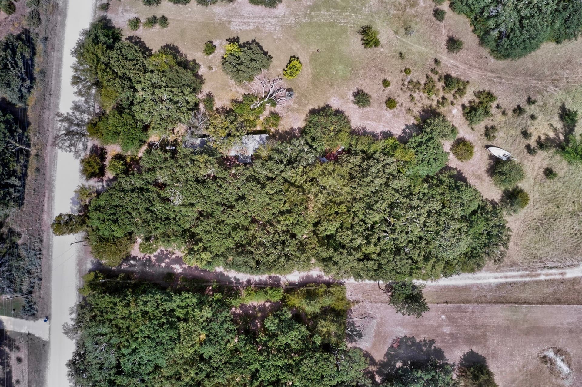 5.1 acres in Van Zandt County gallery image 4
