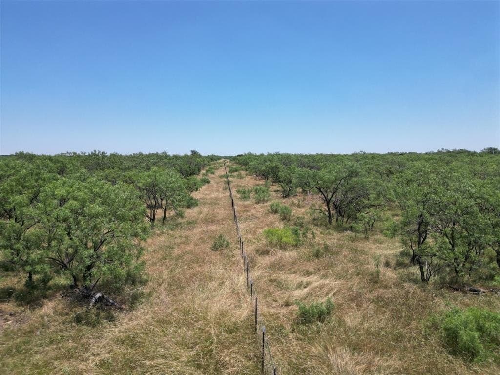 174.37 acres in Callahan County featured view