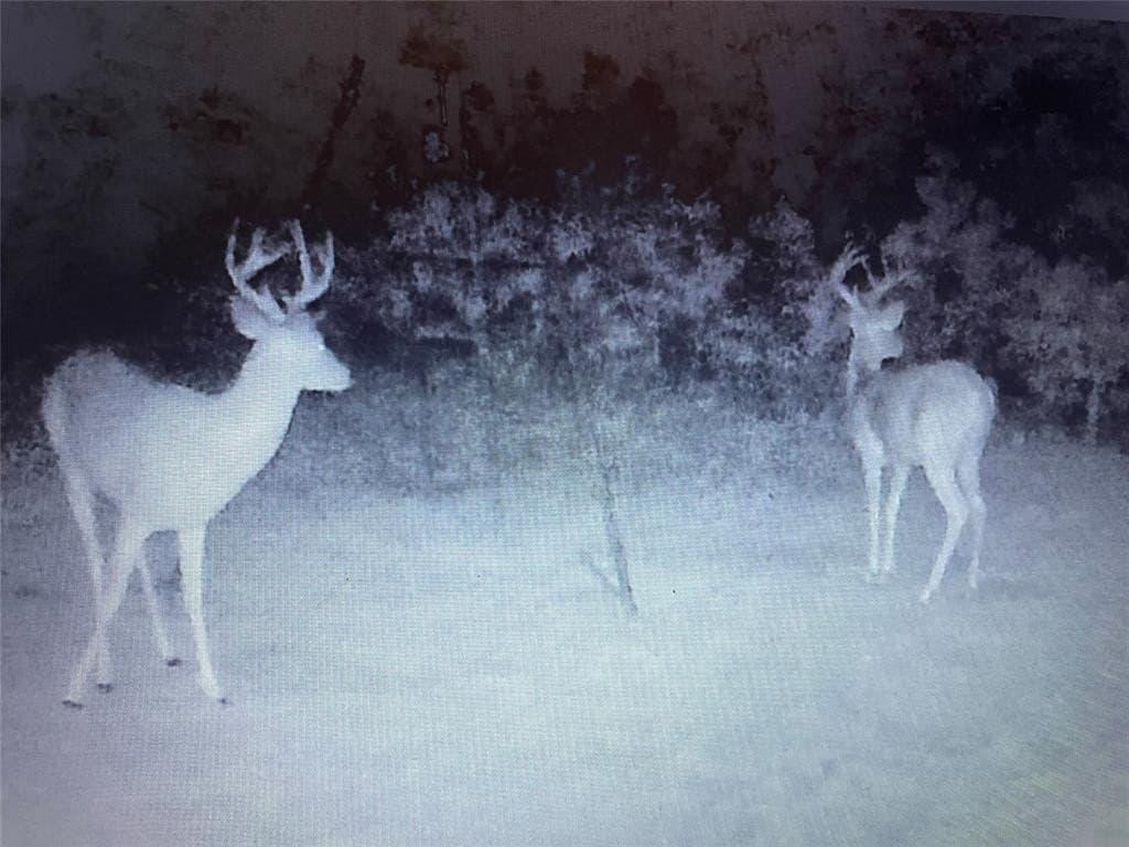 14.34 acres in Palo Pinto County gallery image 3