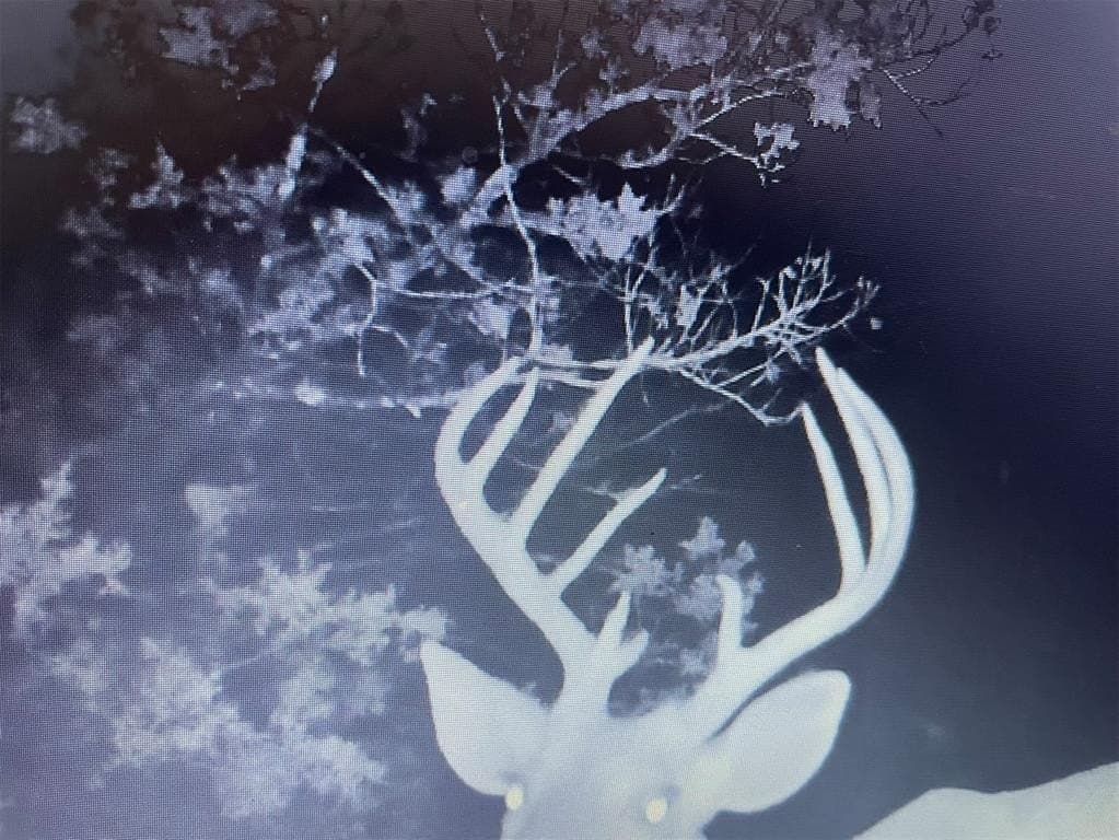 14.34 acres in Palo Pinto County gallery image 4