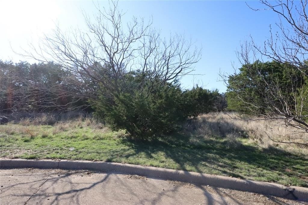 0.39 acres in Palo Pinto County gallery image 2