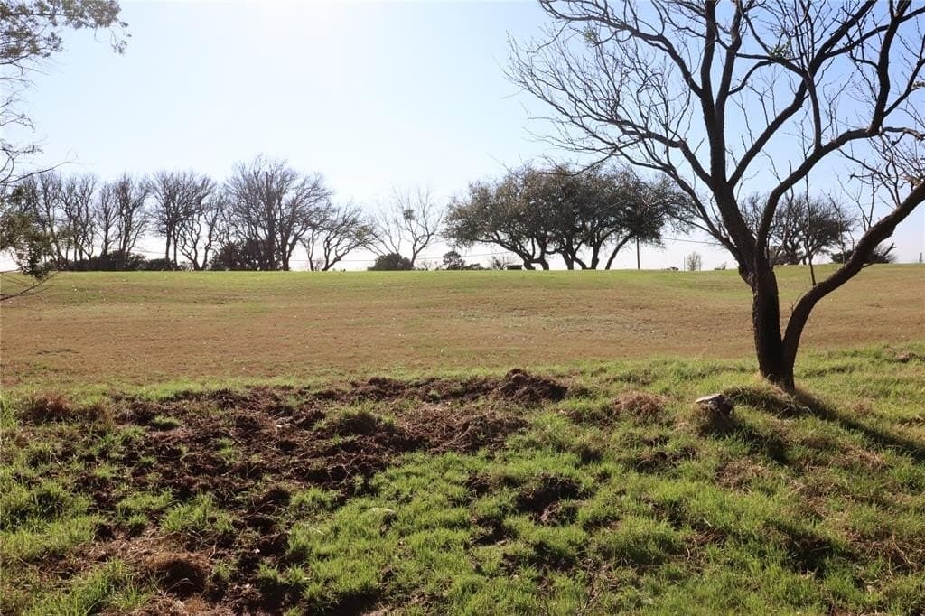 0.39 acres in Palo Pinto County featured view