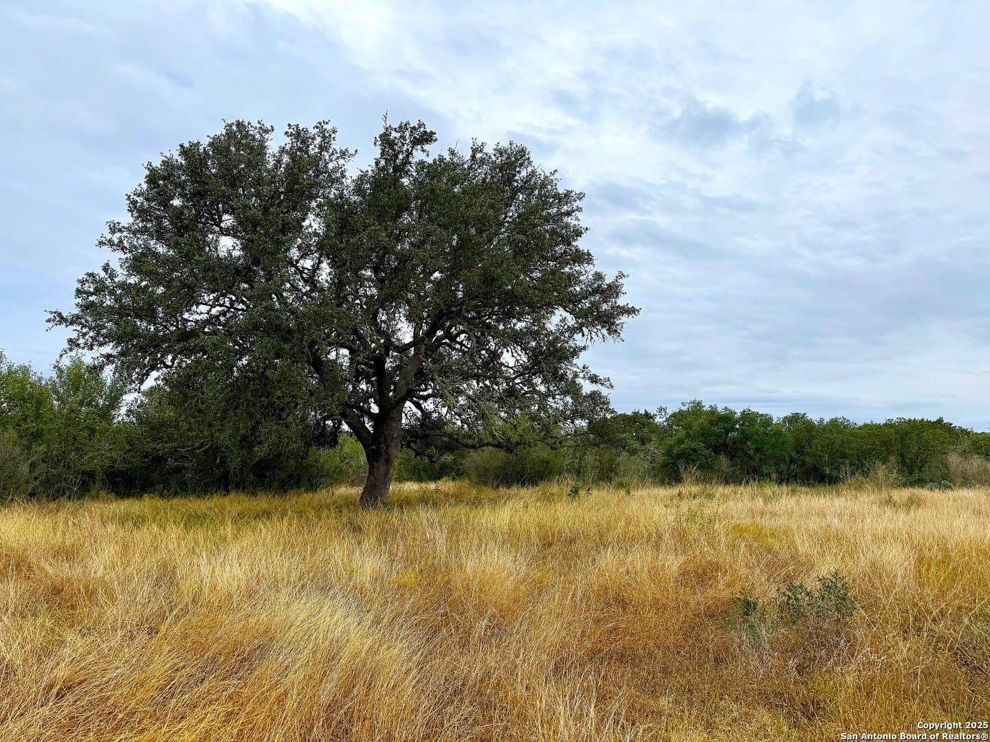 4.41 acres in Medina County featured view