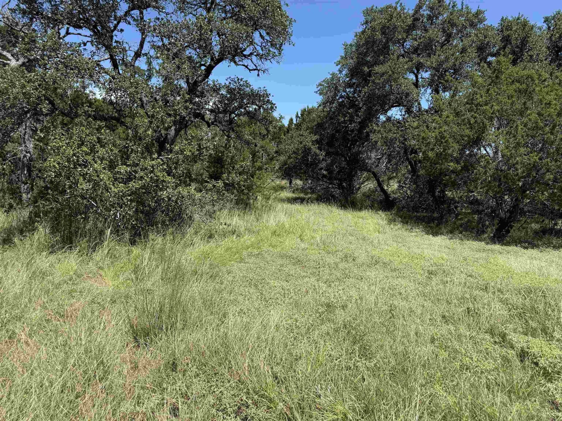 0.21 acres in Blanco County - photo 19