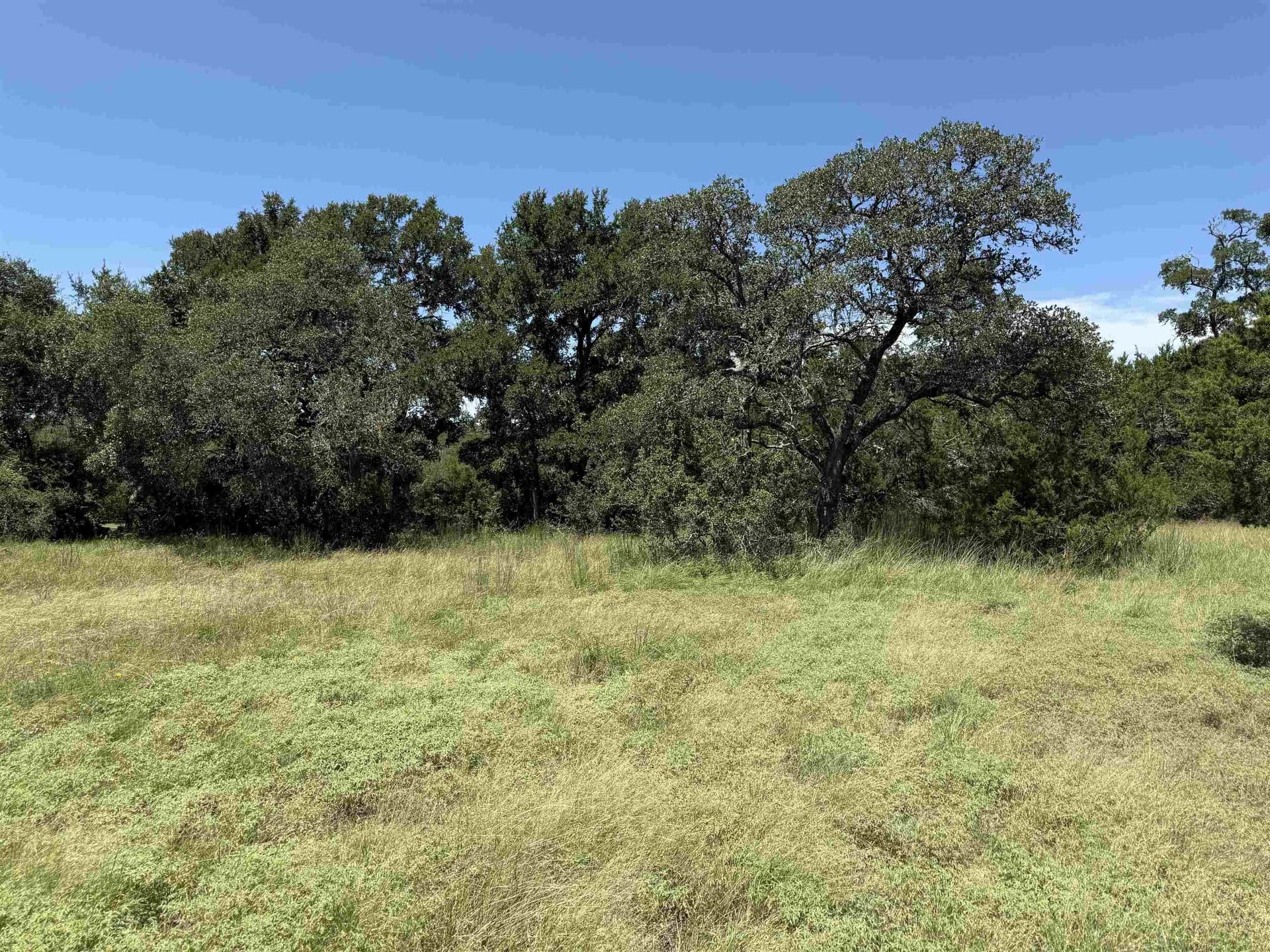 0.21 acres in Blanco County - photo 15