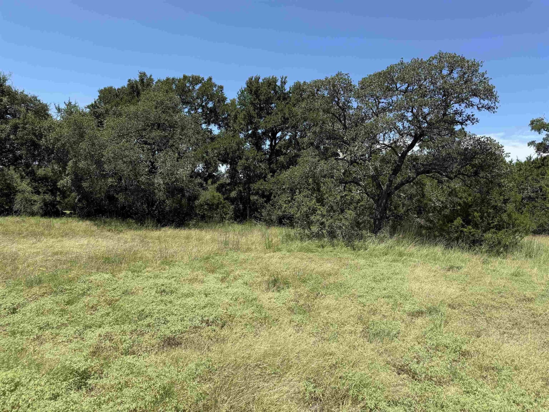0.21 acres in Blanco County - photo 17