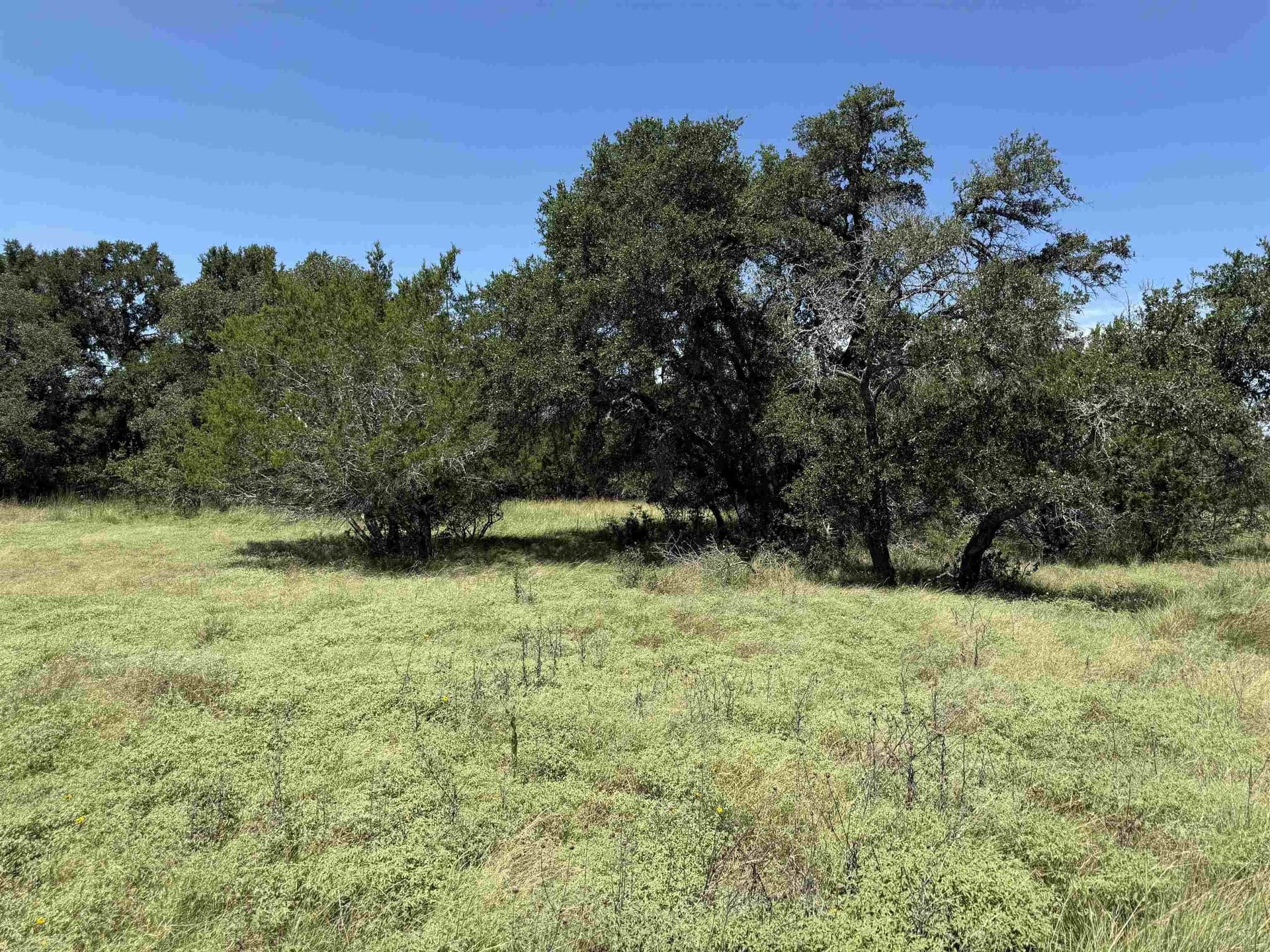 0.21 acres in Blanco County - photo 10