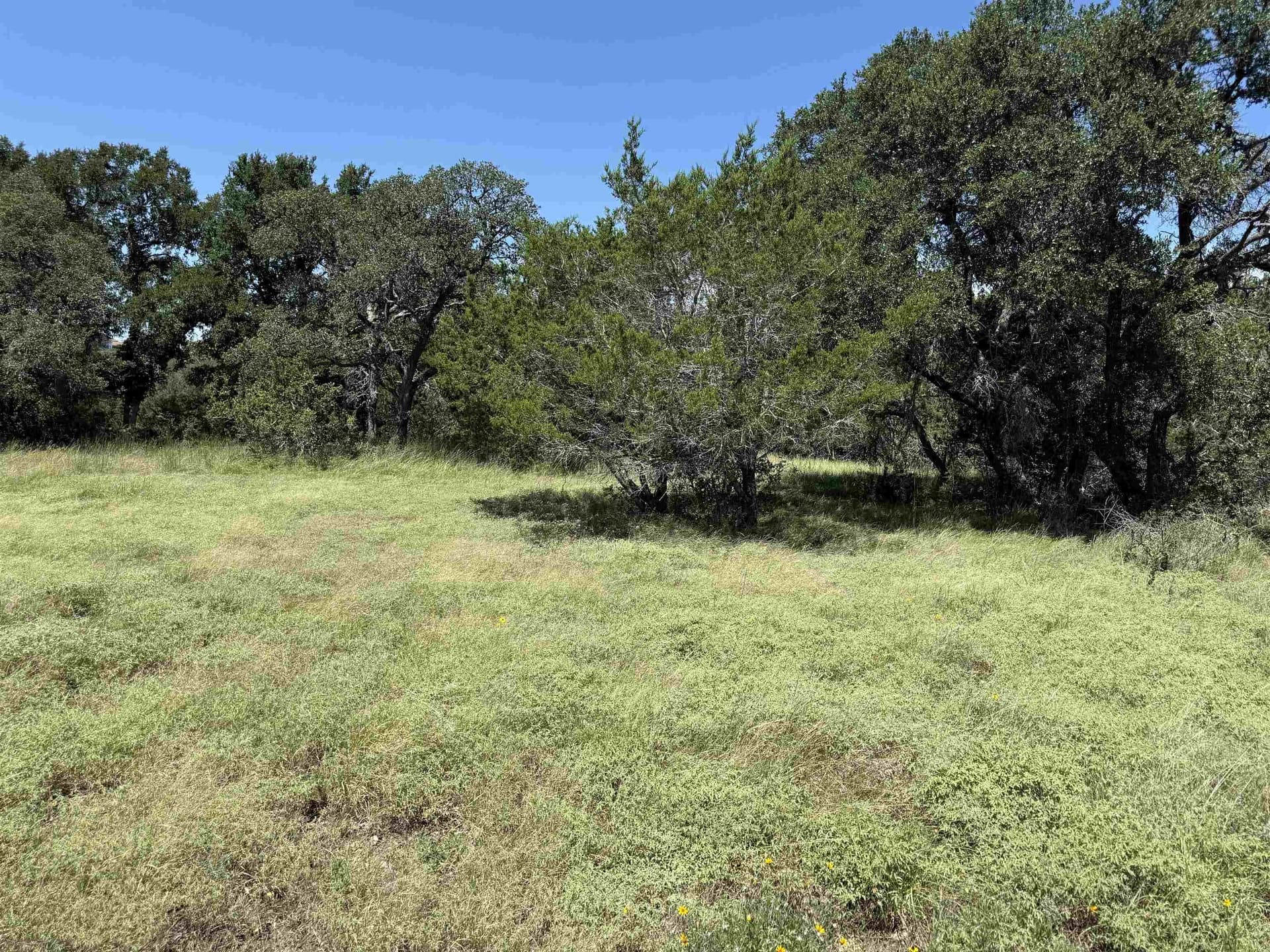 0.21 acres in Blanco County - photo 13