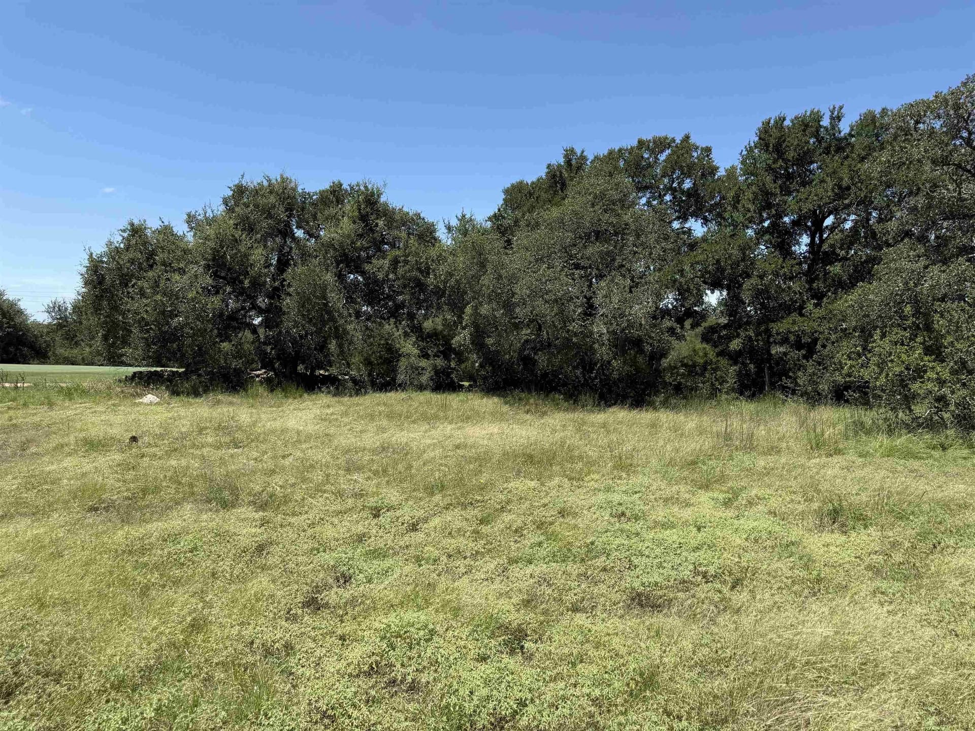 0.21 acres in Blanco County - photo 16
