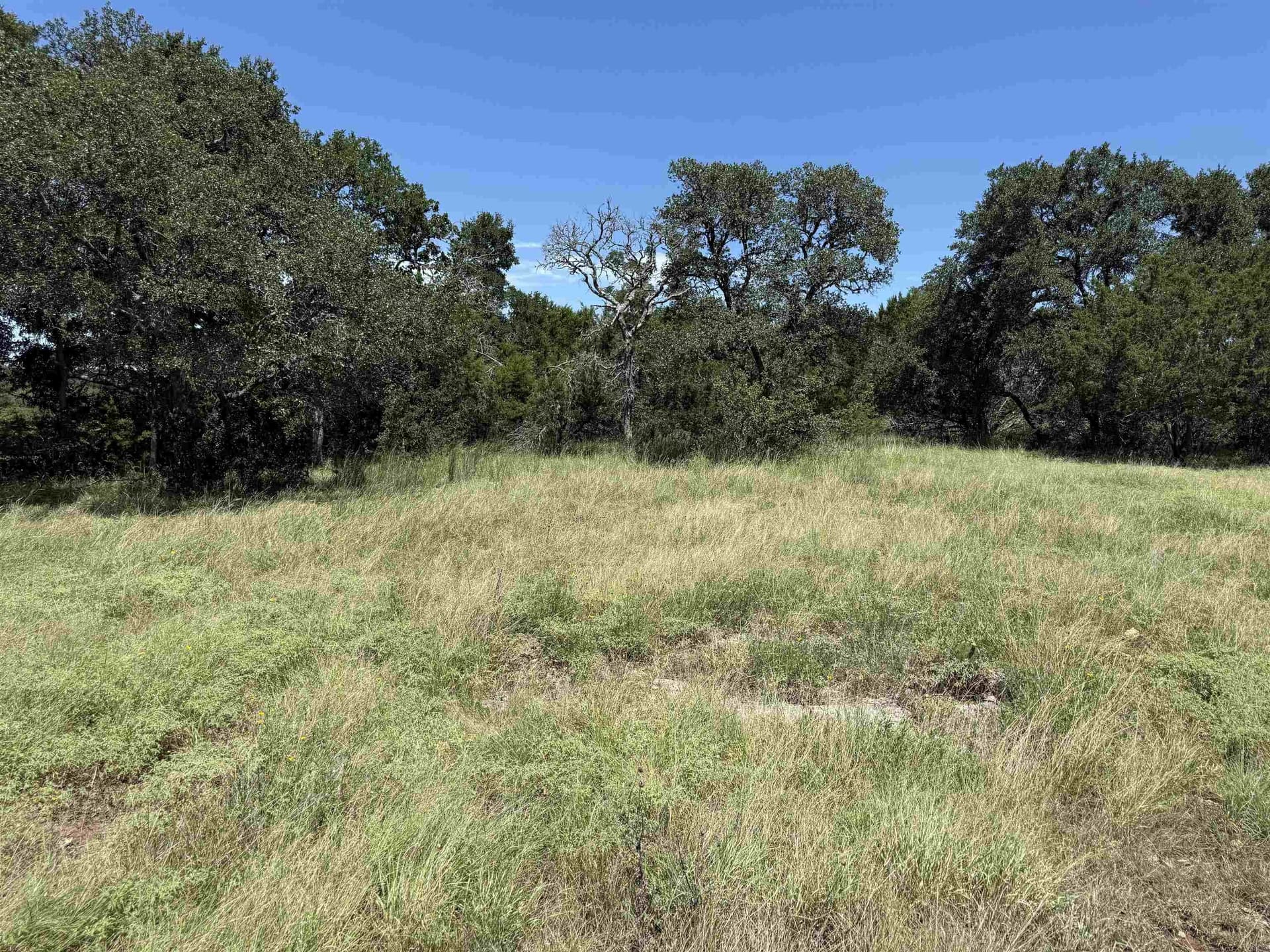 0.21 acres in Blanco County - photo 24