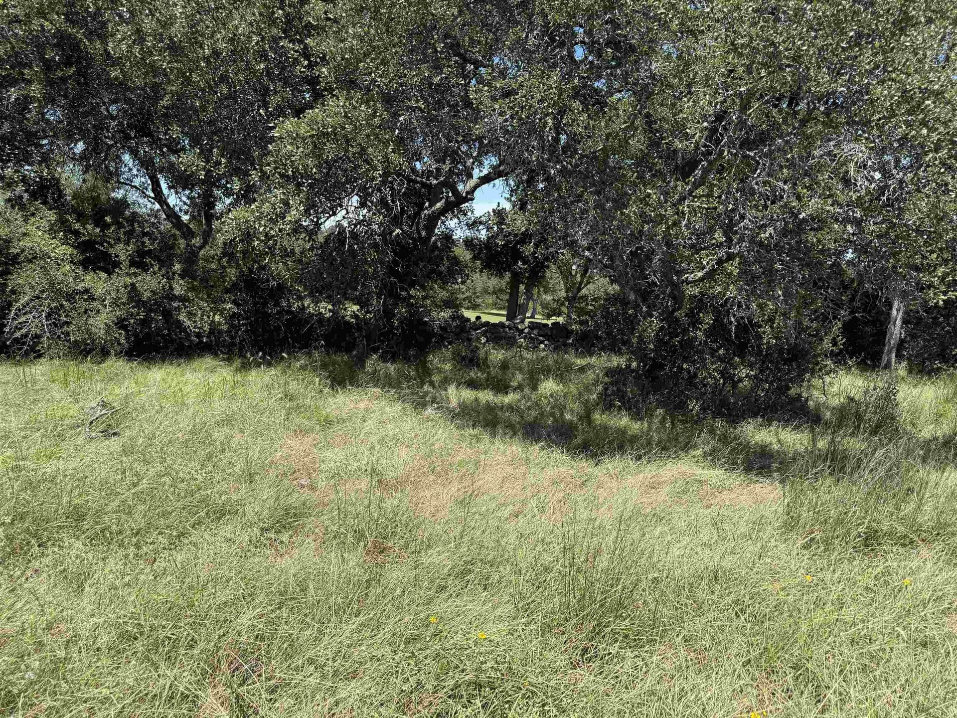 0.21 acres in Blanco County - photo 21