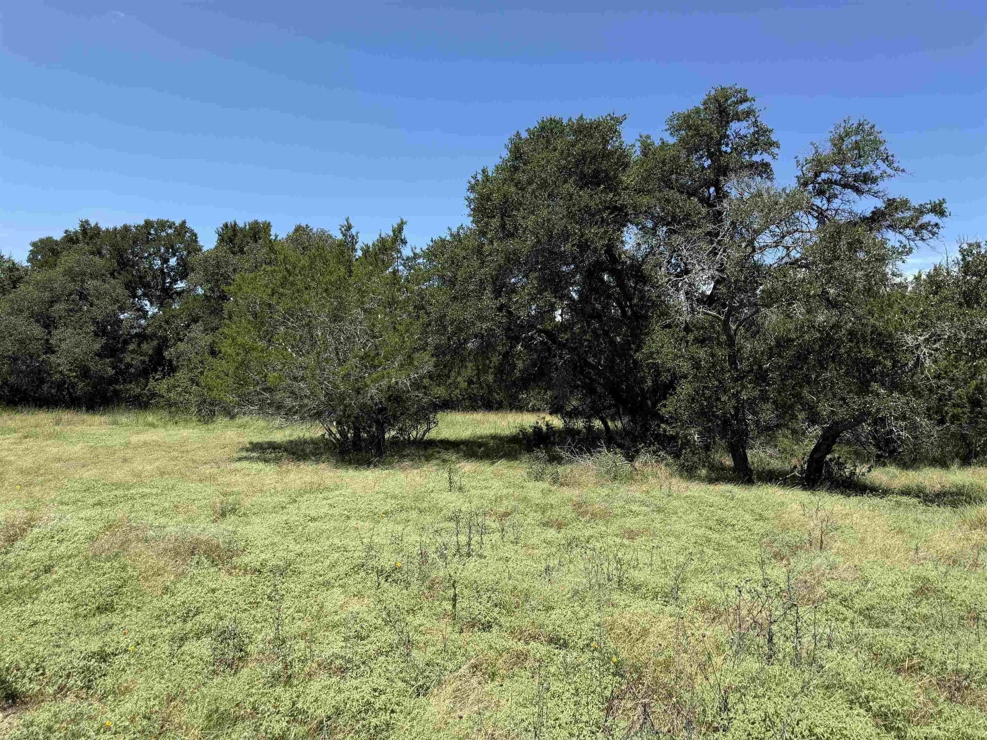 0.21 acres in Blanco County - photo 9