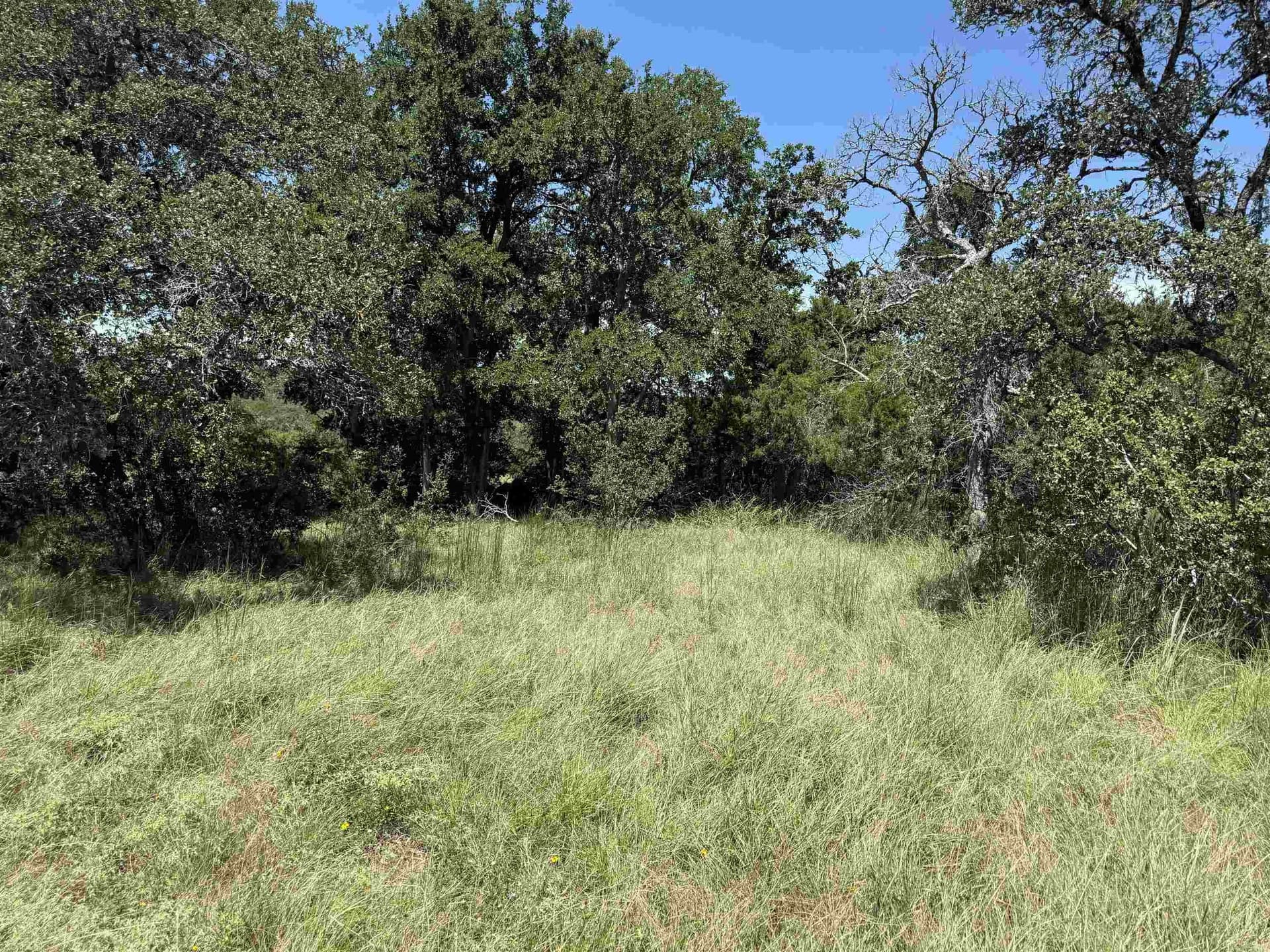 0.21 acres in Blanco County - photo 18