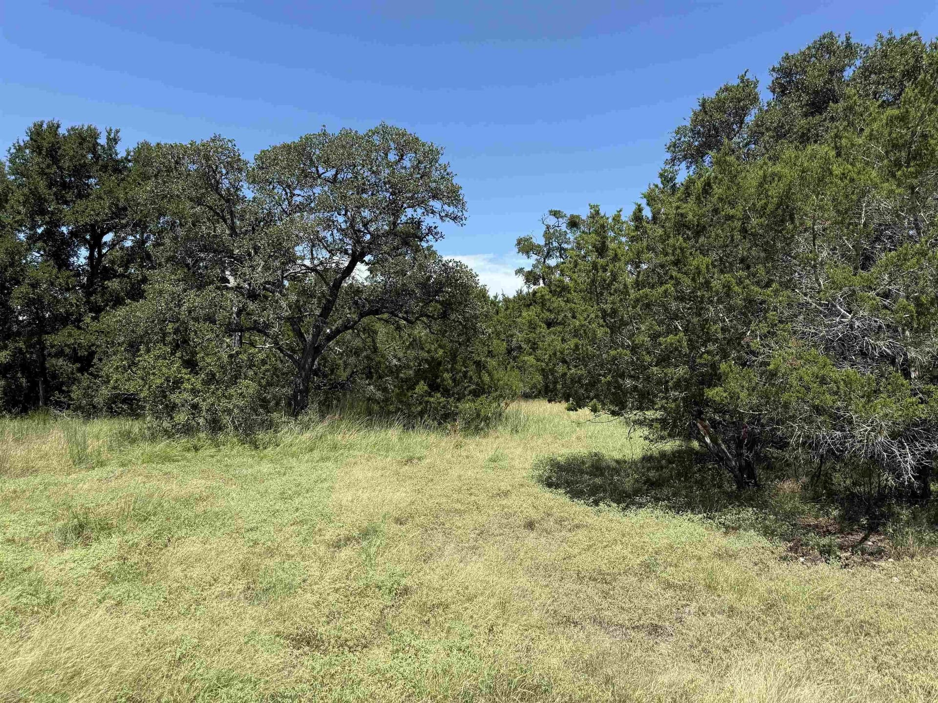 0.21 acres in Blanco County - photo 14