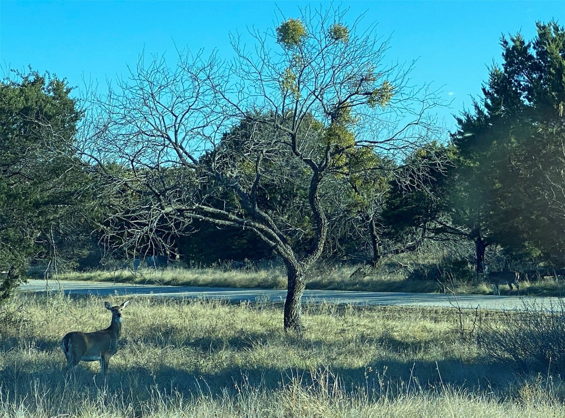 1 acres in Palo Pinto County - photo 32