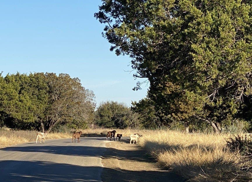 1 acres in Palo Pinto County - photo 36