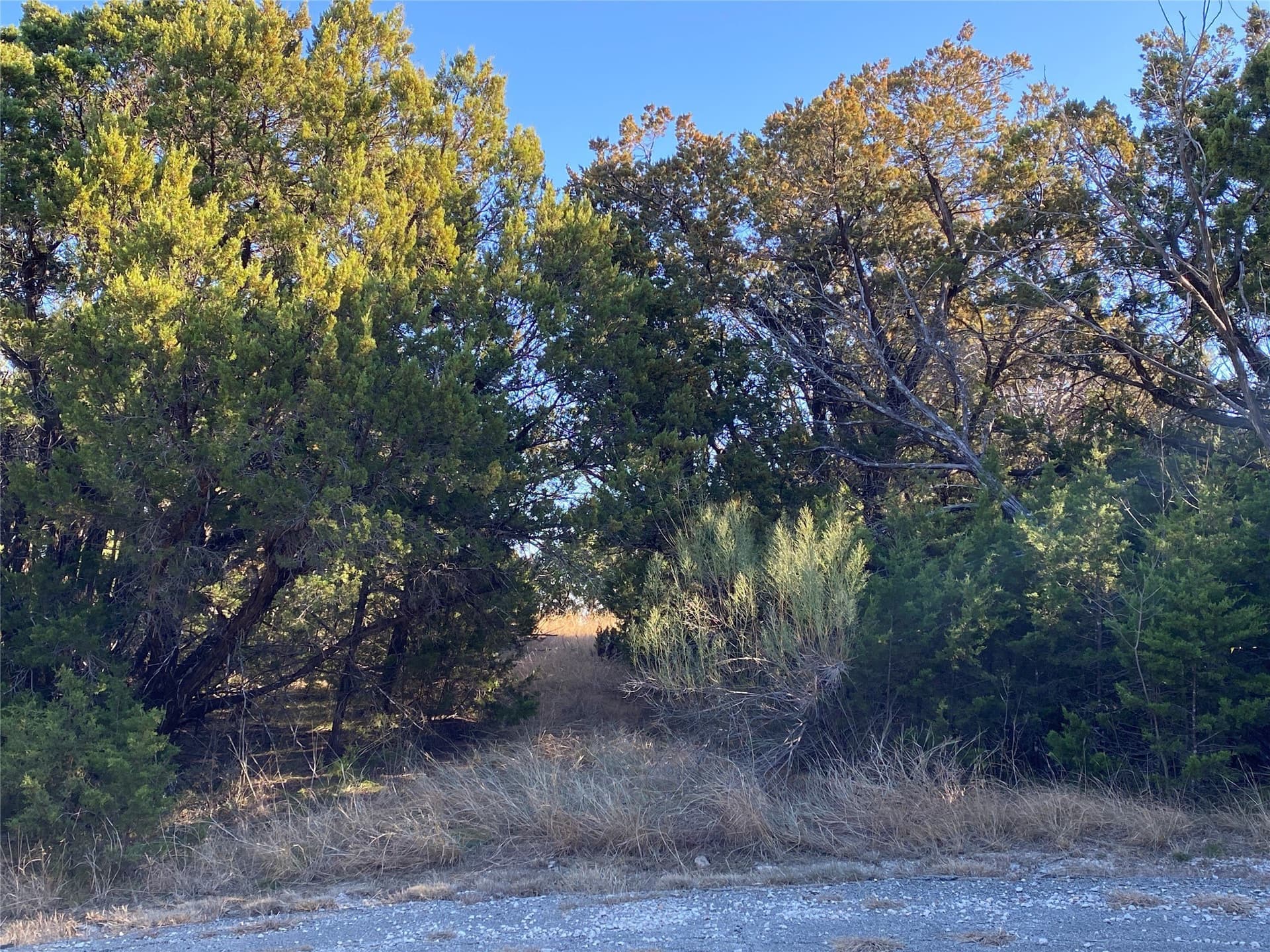 1 acres in Palo Pinto County - photo 7