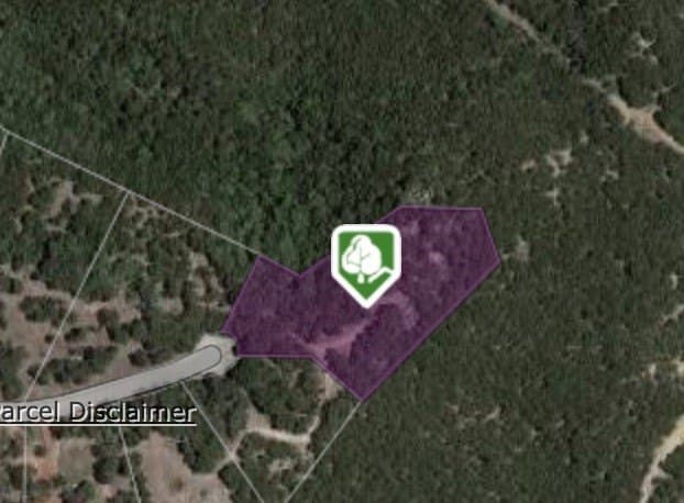 1 acres in Palo Pinto County - photo 38