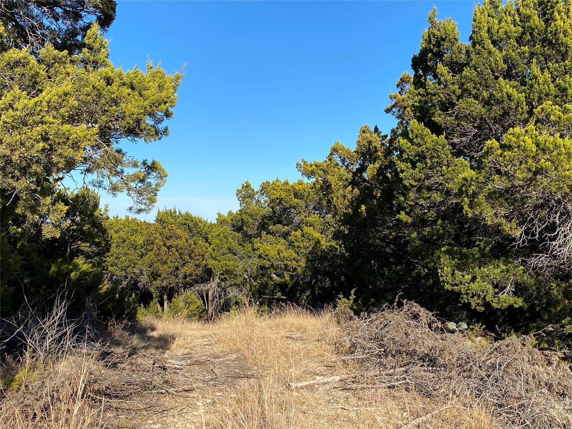 1 acres in Palo Pinto County - photo 8