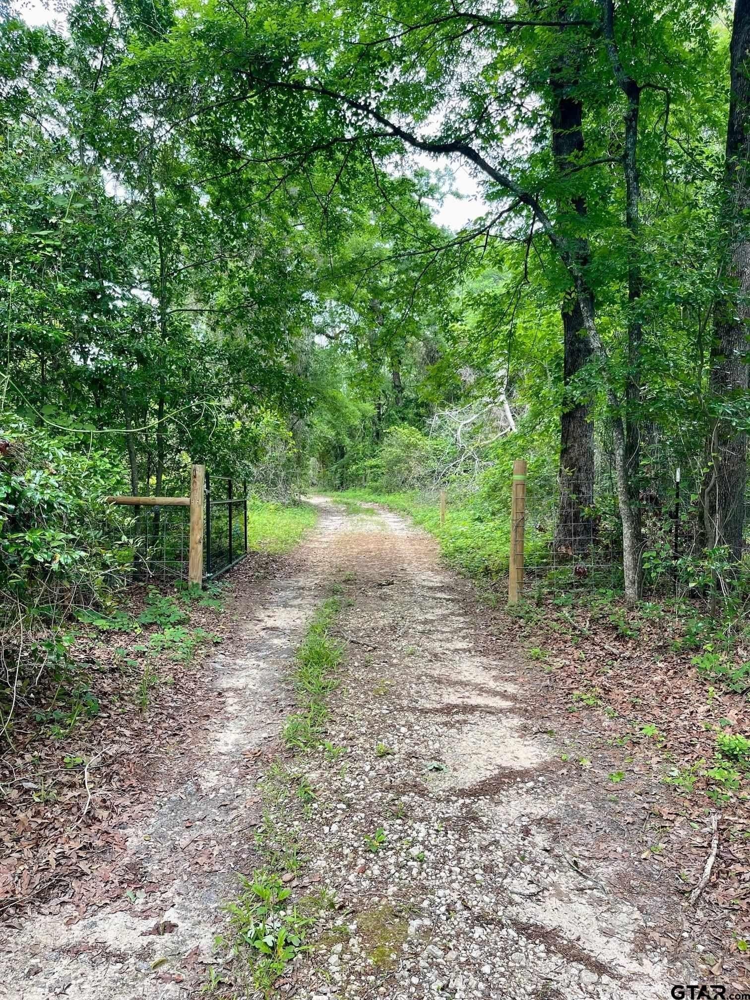 5 acres in Smith County gallery image 3