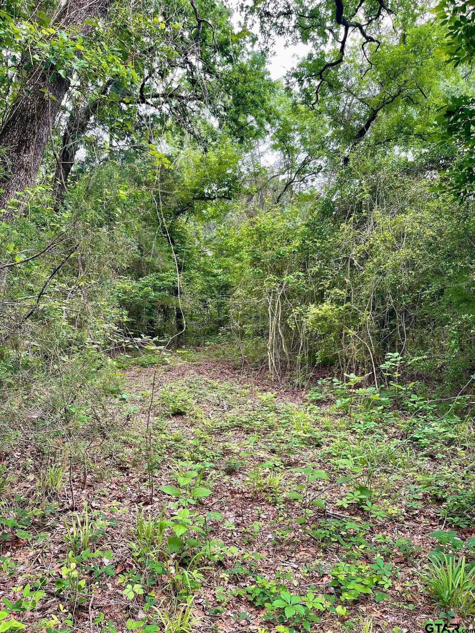 5 acres in Smith County gallery image 4