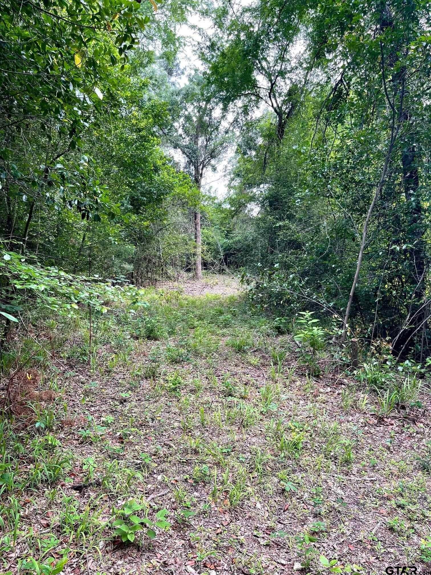 5 acres in Smith County