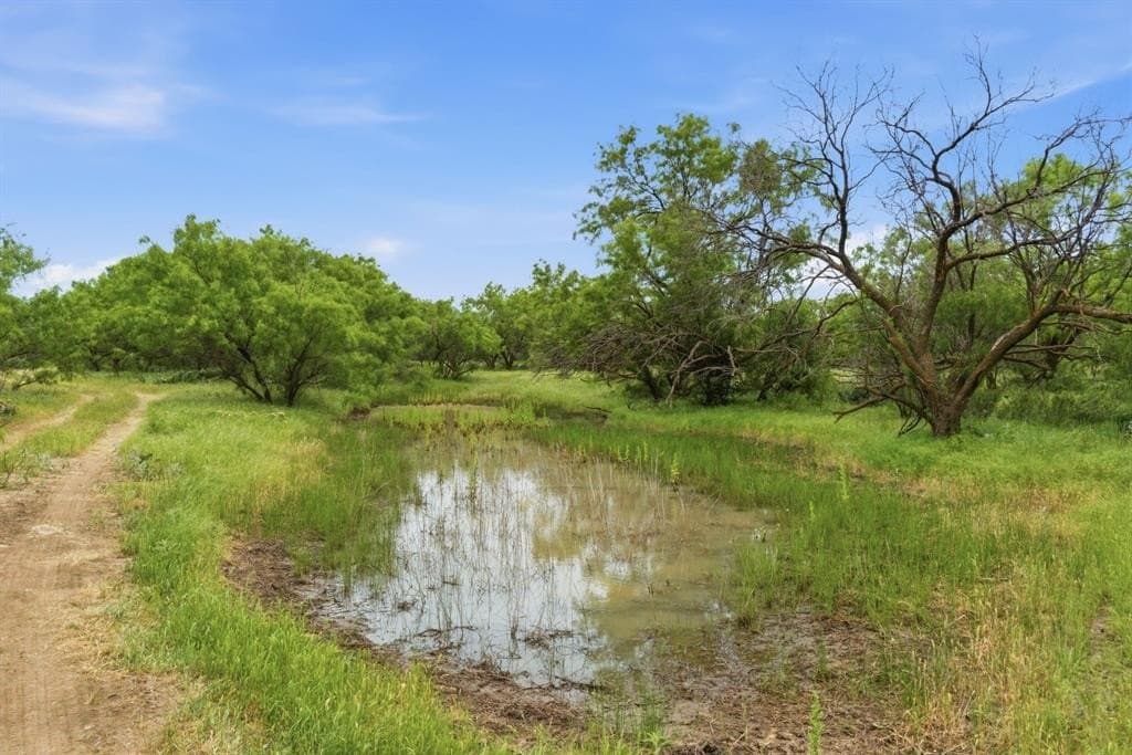 37 acres in Shackelford County gallery image 4