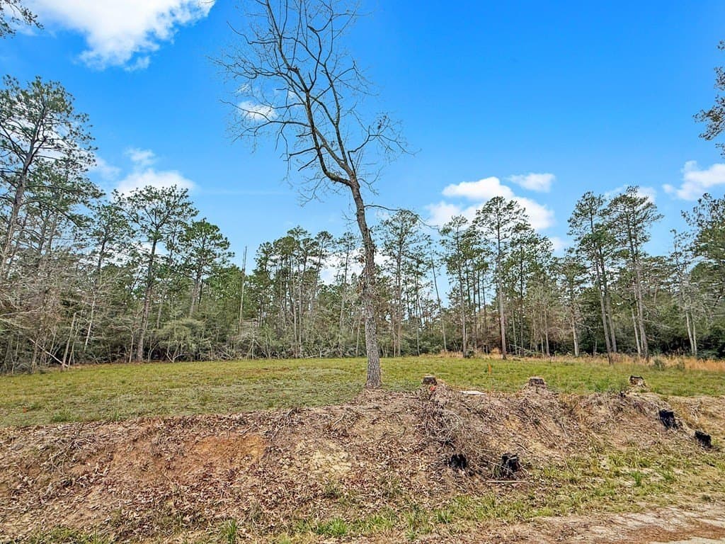 0.46 acres in Texas County gallery image 2