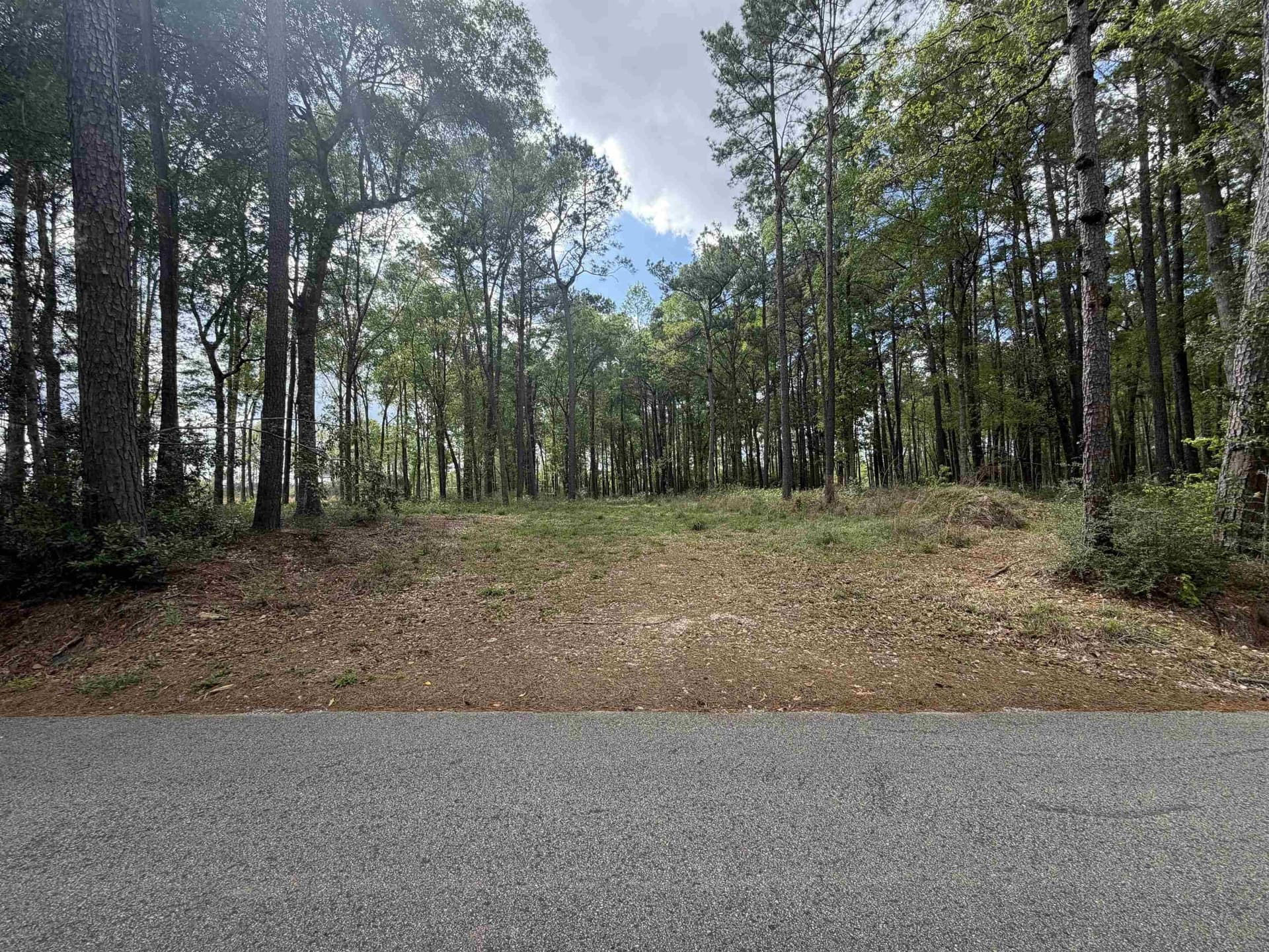 2 acres in Texas County gallery image 2