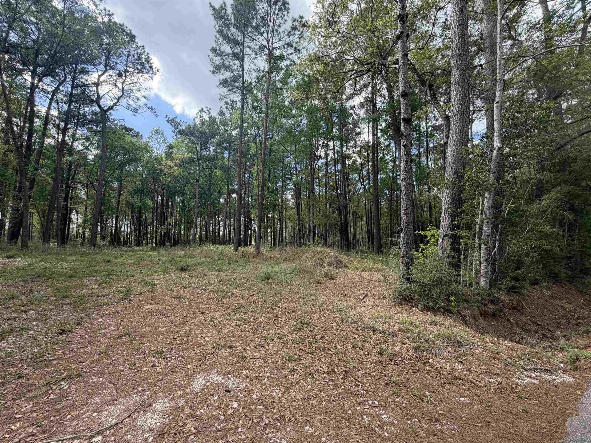 2 acres in Texas County featured view