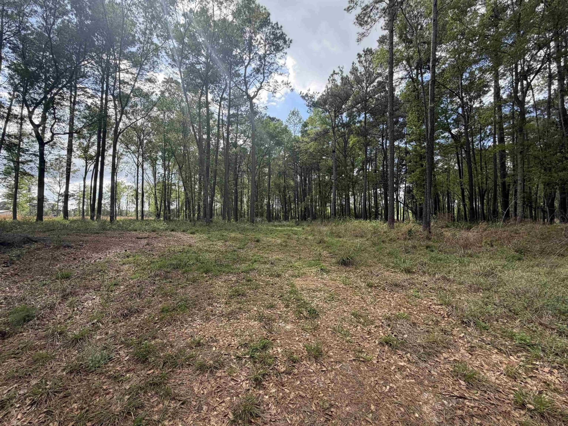 2 acres in Texas County gallery image 4