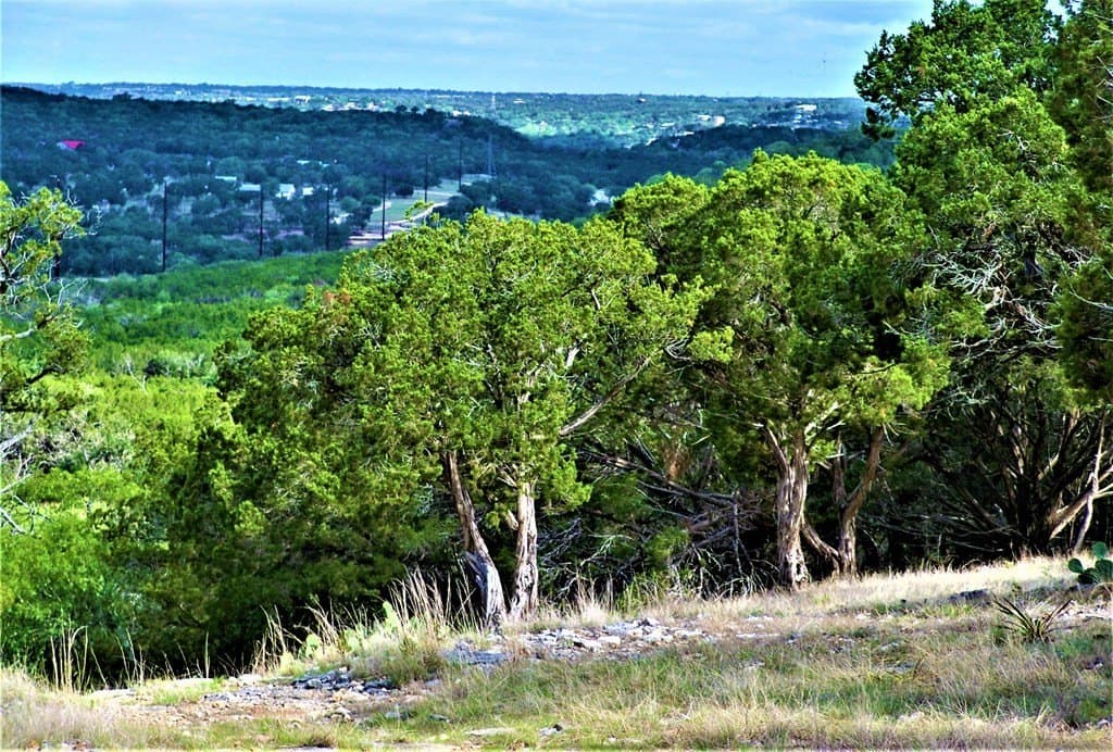 11.23 acres in Kerr County - photo 12