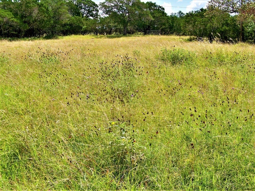 11.23 acres in Kerr County gallery image 3