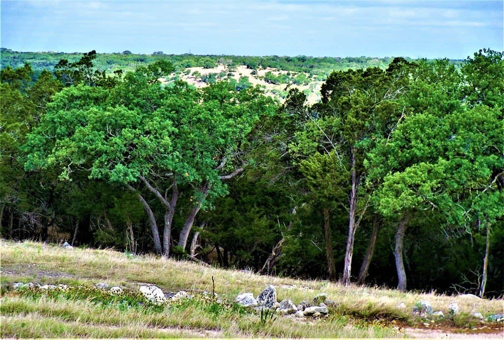 11.23 acres in Kerr County - photo 13