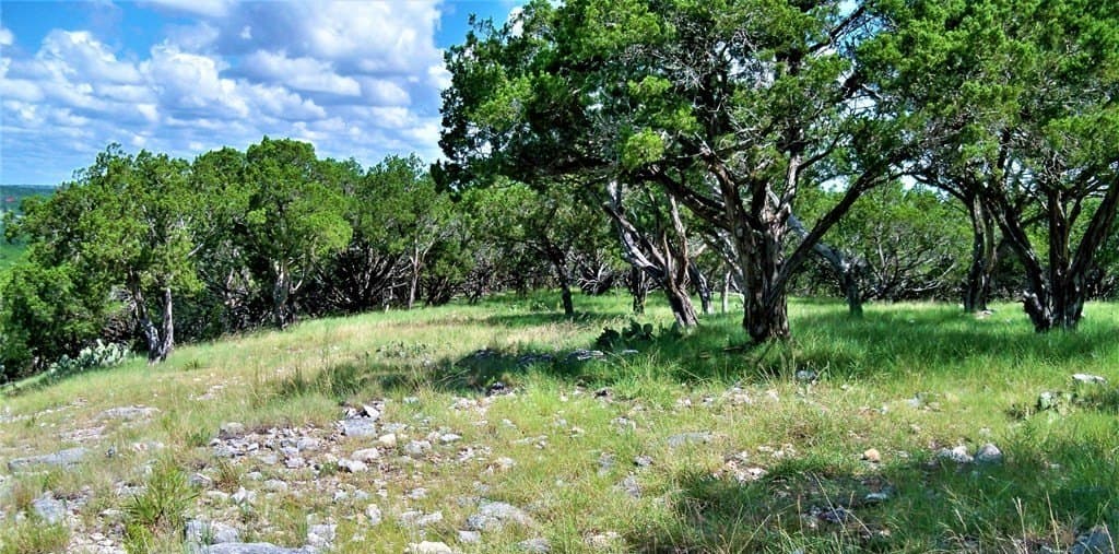 11.23 acres in Kerr County - photo 14