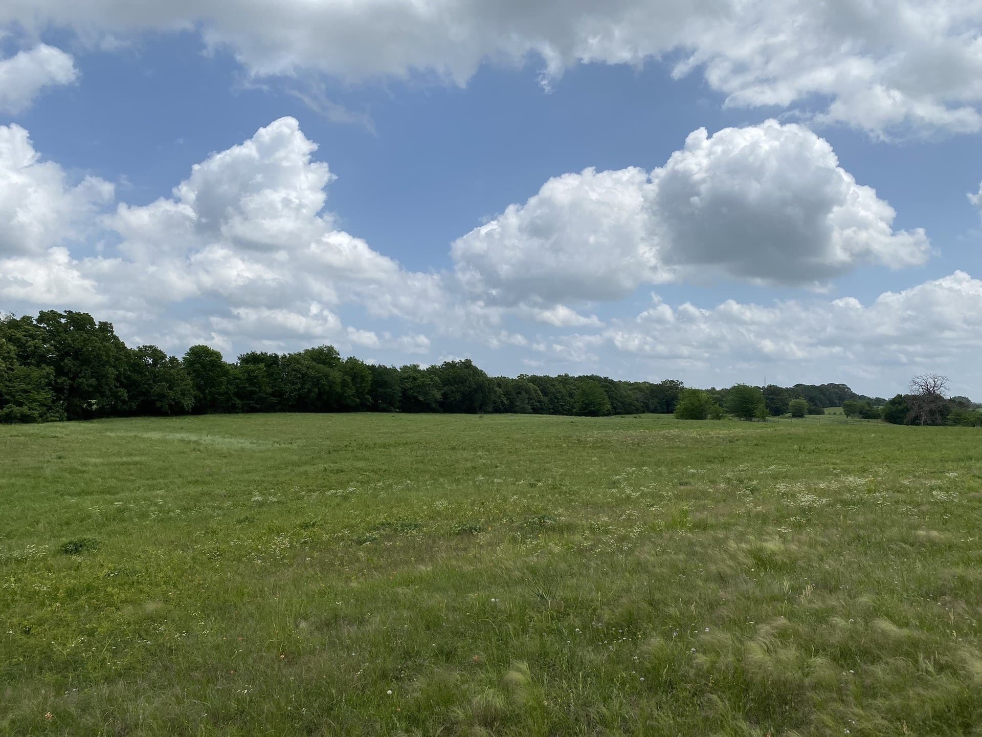 32 acres in Van Zandt County - photo 9