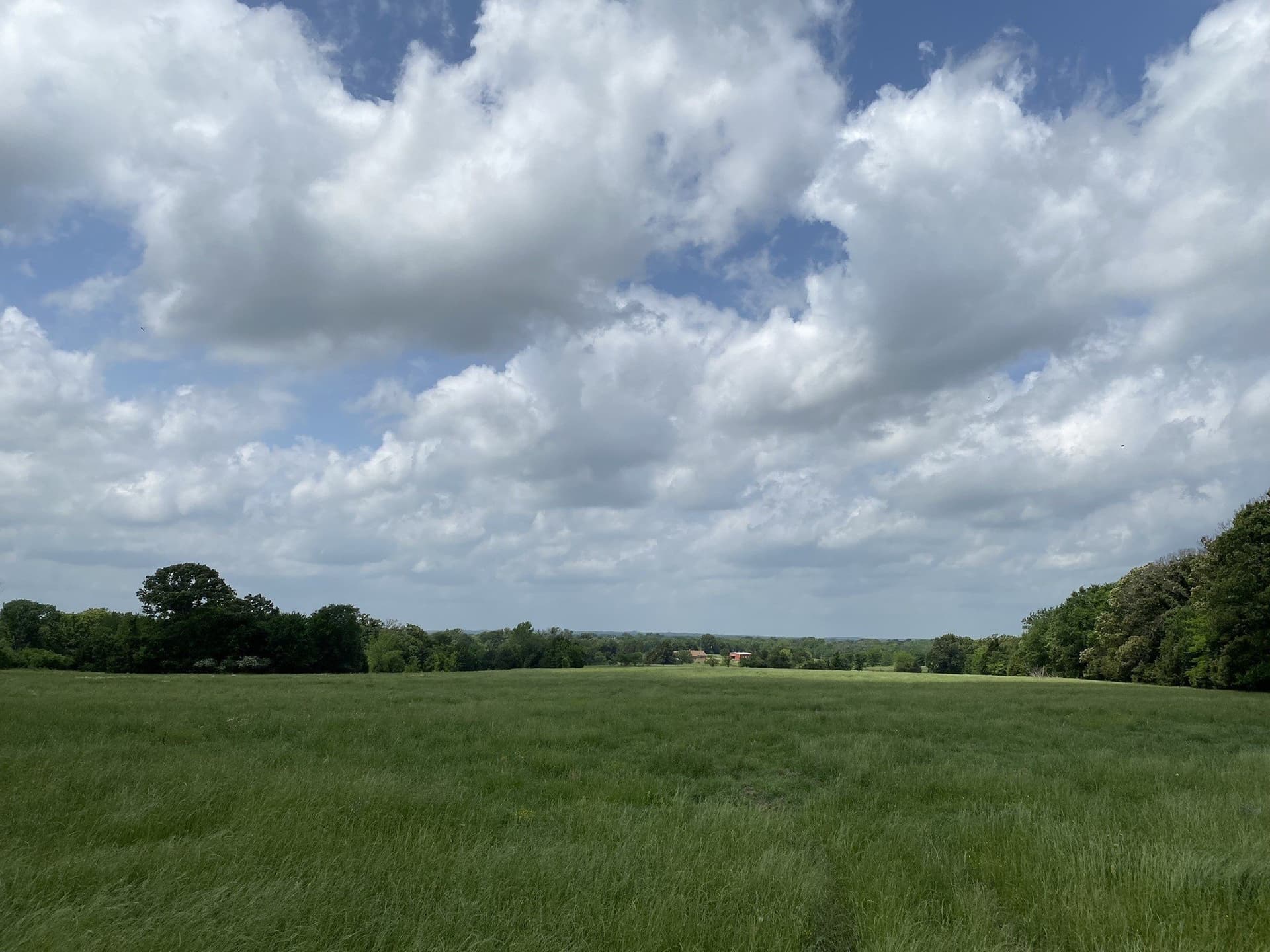 32 acres in Van Zandt County - photo 3