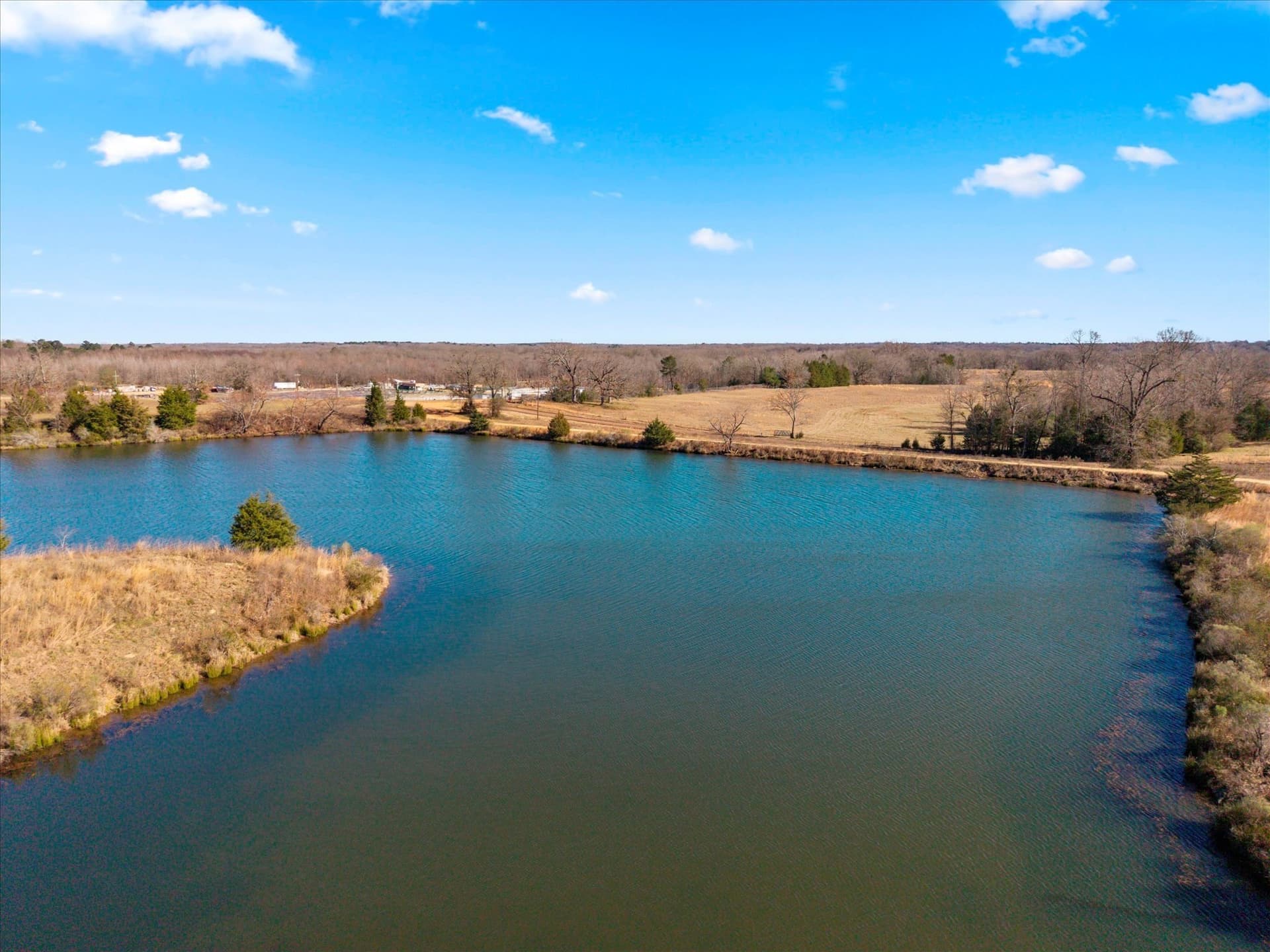 50 acres in Titus County - photo 3