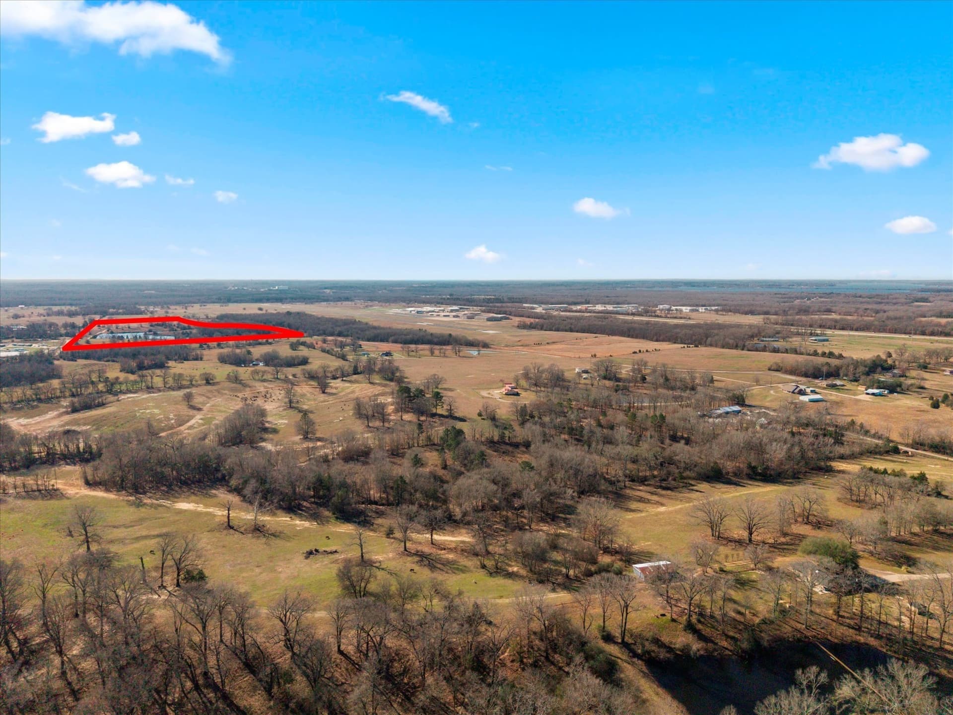 50 acres in Titus County - photo 7