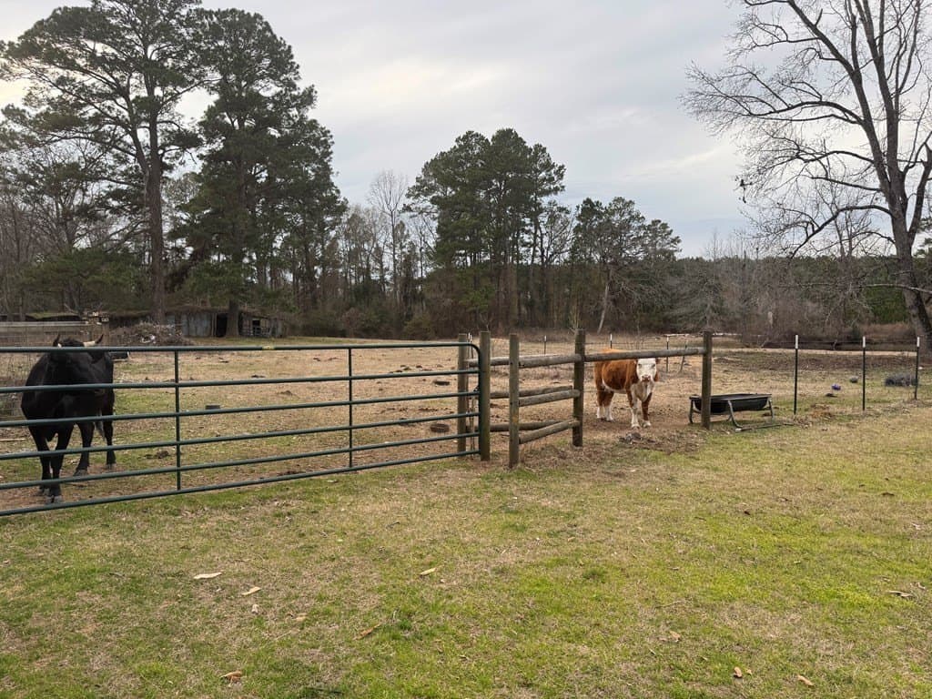 17.82 acres in Texas County - photo 34