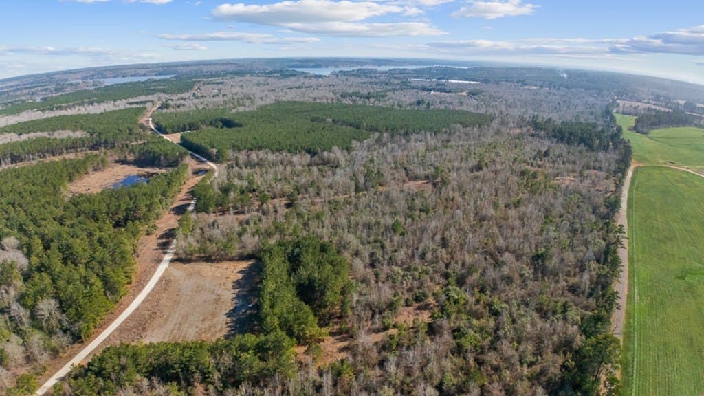 11.45 acres in Texas County gallery image 4